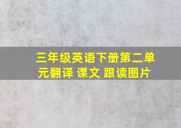 三年级英语下册第二单元翻译 课文 跟读图片